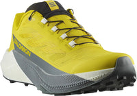 Salomon - Pulsar - Homme
