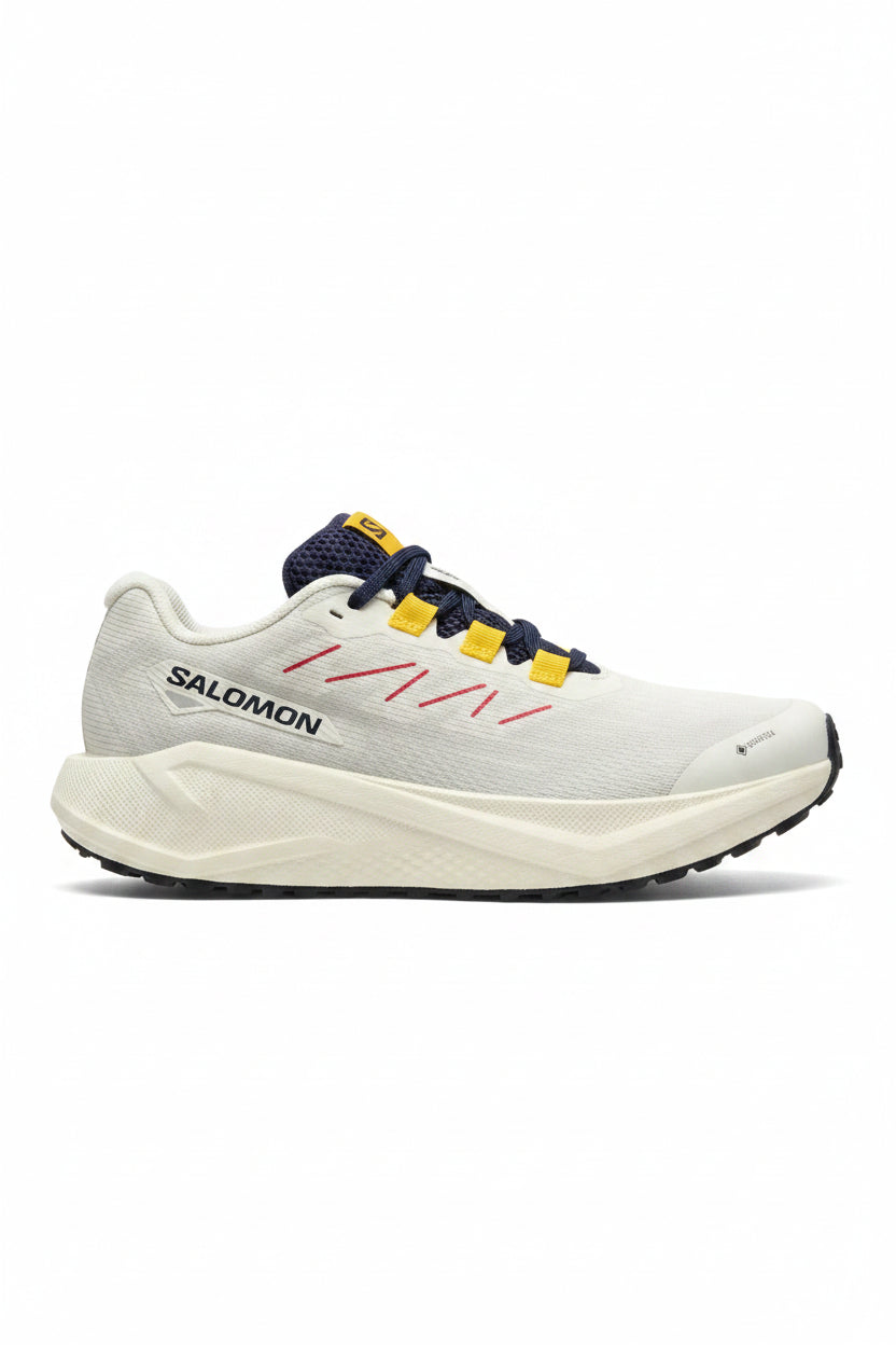 Salomon - AERO BLAZE 3 GRVL GTX - Femme