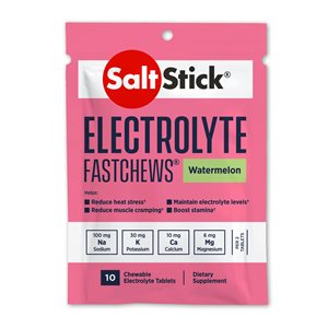 Salt Stick comprimés d'électrolyte à mâcher 